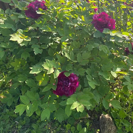 Ca D Andrea * Bagnone