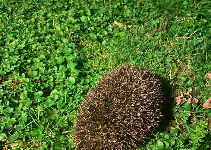 Dom wakacyjny Ca D Andrea